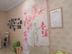 -SILKTONE诗丽堂美容