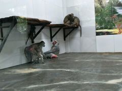 -西安秦岭野生动物园