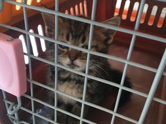 -惠康宠物医院(华能路店)