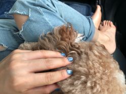 -如一·美甲美睫