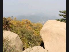 -鲁山国家森林公园