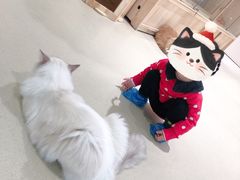 -藏猫猫咖啡主题馆(中央大道店)