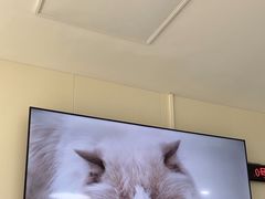 -美联众合动物医院·24h京西诊疗中心