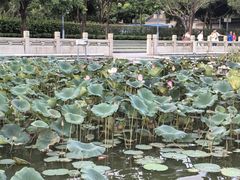 -顺峰山公园