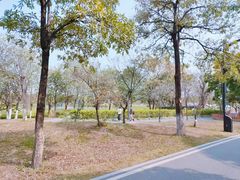 -海珠湖公园
