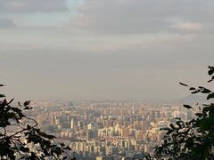 -灵顺寺