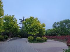 -北坞公园