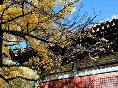 -红螺寺