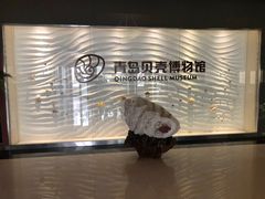 -青岛贝壳博物馆