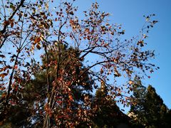 -国家图书馆·古籍馆