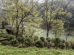 -唐崖土司城遗址