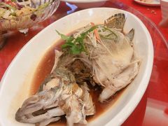 -金蝉食府(维吉奥广场店)