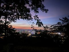 -味多美蛋糕(看丹桥店)