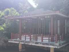 -金山公园