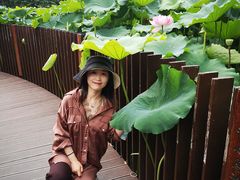 -陈家山荷花公园
