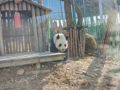 -大连森林动物园