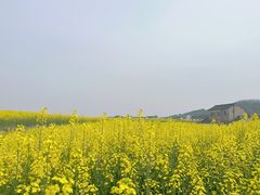-Stretch斯川驰·拉伸·运动康复(南施街店)