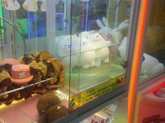 -PAWTOY爪e玩偶店(天兴罗斯福店)