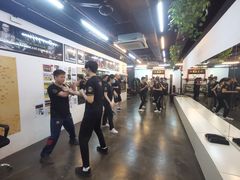 -温鉴良实用咏春拳