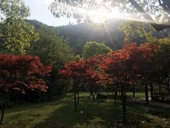 -黄公望隐居地
