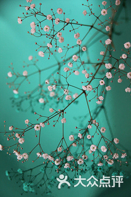 所有图片 8940df9ejw1e800uh82vqj20c80ib41f 0 次 405 / 45214-02-28