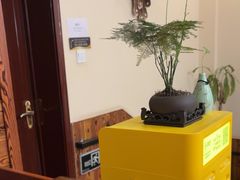-竹雀古法采耳(青岛麦凯乐店)