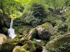 -青城山