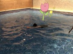 -斯博特游泳俱乐部(永安里店)