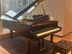 -知音艺术教育培训·钢琴培训·音乐培训(河西金鹰世界校区)