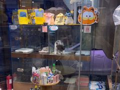 -FAELING PETS美天灵宠物(富力广场店)