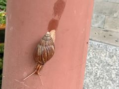 -广州神农草堂中医药博物馆