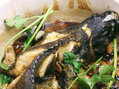 招牌香锅龙胆斑-鑫鸿达·海鲜闽菜热炒小馆(中山路店)