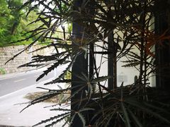 -彳亍咖啡·这里(水湾路店)