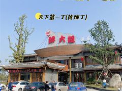 -胖大姐黄辣丁鱼庄(新津店)