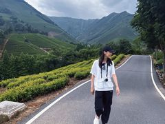 -白茶原·一片叶子