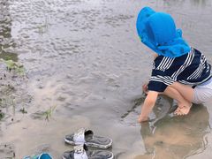 -南汇嘴观海公园