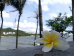 -格力东澳大酒店-蓝色海岸餐厅