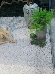 -木北造型