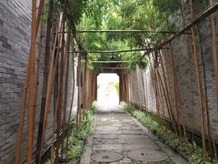 -龙潭水乡