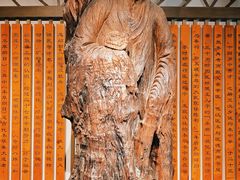 -广东中医药博物馆