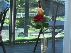 -宝荣鱼馆·临湖之宴(千岛湖店)