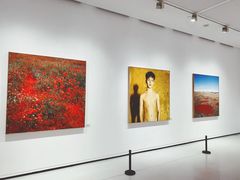 -四川美术学院美术馆