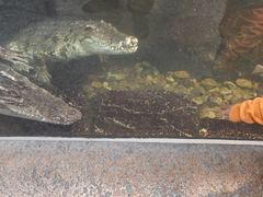 -波塞冬海底世界