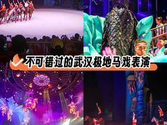 -海合安武汉极地海洋公园