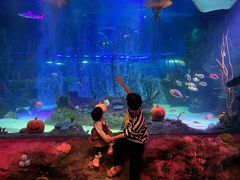 -沈阳海洋探索中心