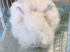 -怪兽屋·羊驼·猫咖·狗咖(俊华广场店)