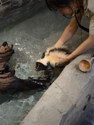 -Zoolung Zoolung动物主题公园(海信广场店)