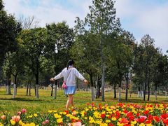 -汉长安城未央宫国家考古遗址公园