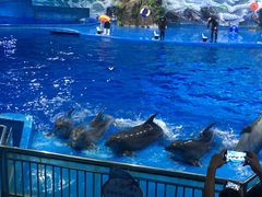 -多彩贵州城极地海洋世界