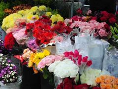 -璞真扎染博物馆